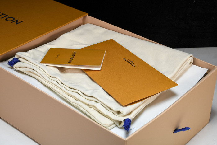 LV SNEAKER LOW 10301