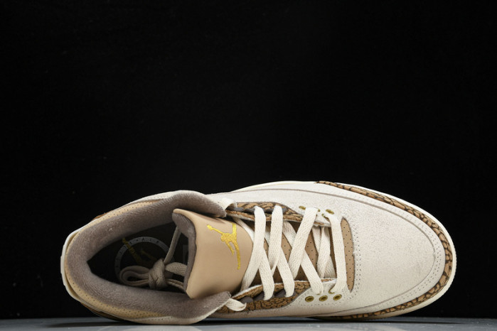 Air Jordan 3 "Palomino" CT8532-102
