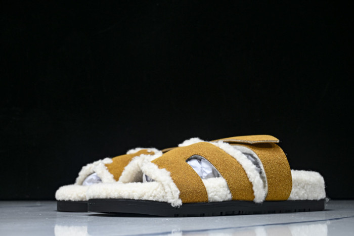 H*RMES  SLIDS   HM-51