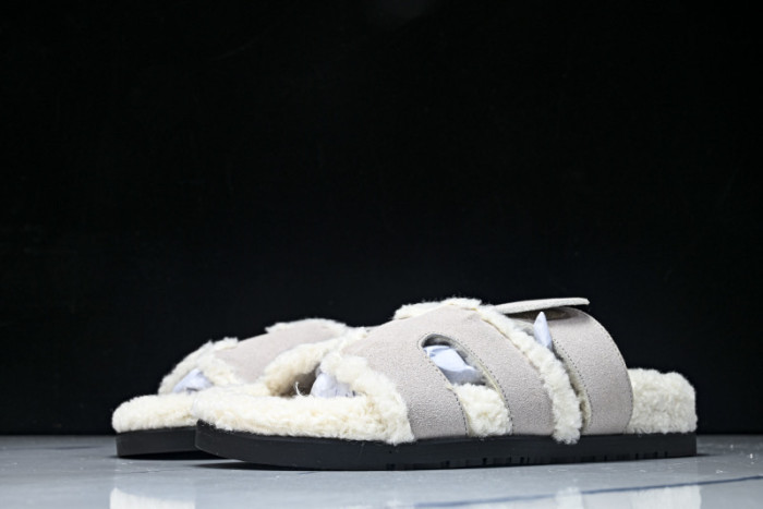 H*RMES  SLIDS   HM-55