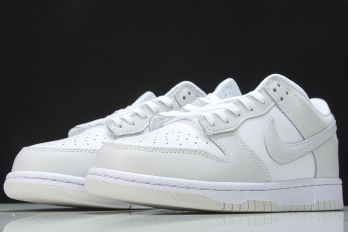 Nike Dunk Low "Photon Dust" DD1503-103