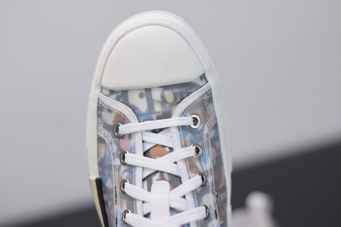 D10R B23 Oblique Low Top Sneakers L00N4