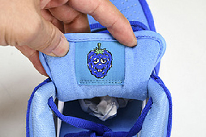 Nike Dunk Low Pro“Blue Raspberry DM0807-400