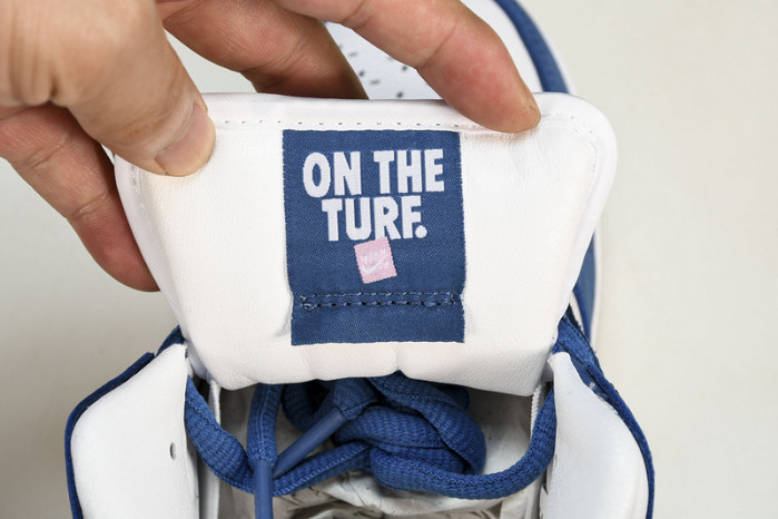 Born x Raised x Nike SB Dunk FN7819-400