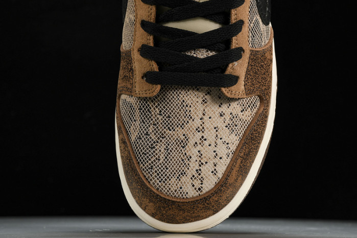 nike dunk low preM1vm atmos  fj5434-120