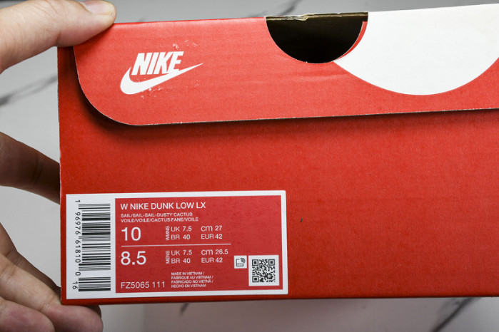 Nike Dunk Low FZ5065-111