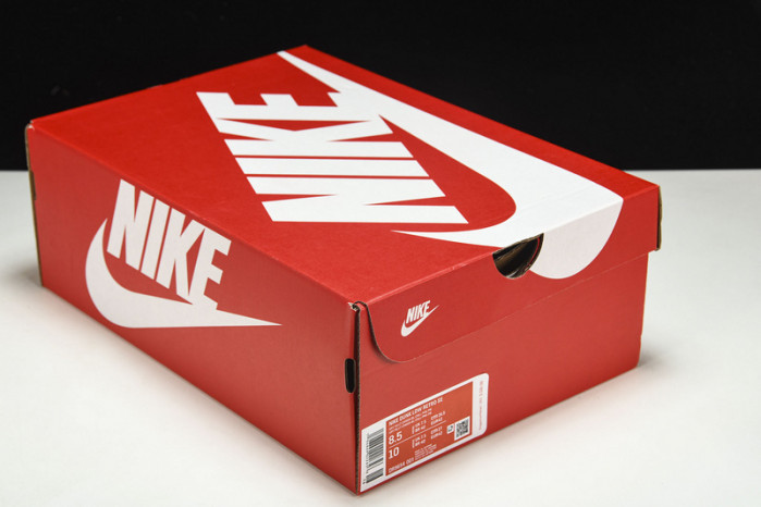 Nike Dunk Low “Lottery ” DR9654-001