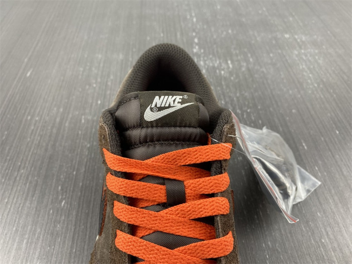 Nike Dunk Low Retro DQ8801-200