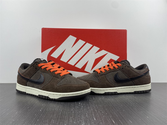 Nike Dunk Low Retro DQ8801-200