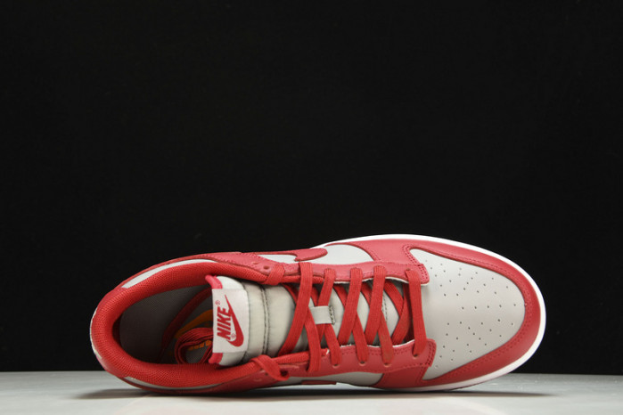 Nike Dunk Low Retro“Medium Grey” DD1391-002