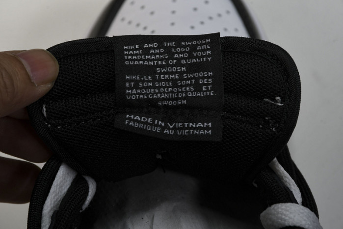 Nike Dunk Low Retro DD1391-100